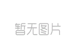 专业